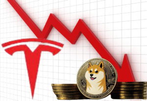 Queda das ações da Tesla e do Dogecoin