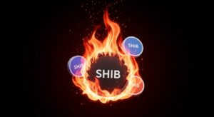 Queima de SHIB